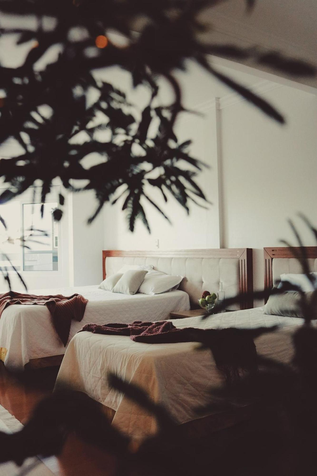 Hotel Solaris Sao Miguel d'Oeste 外观 照片